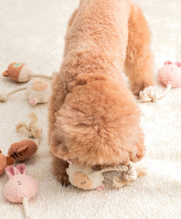 [PRE ORDER] Animal Rattle Toy