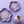 Flower Plate 14cm - Bluebell Purple