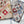 Cat Rustling Paper Toy
