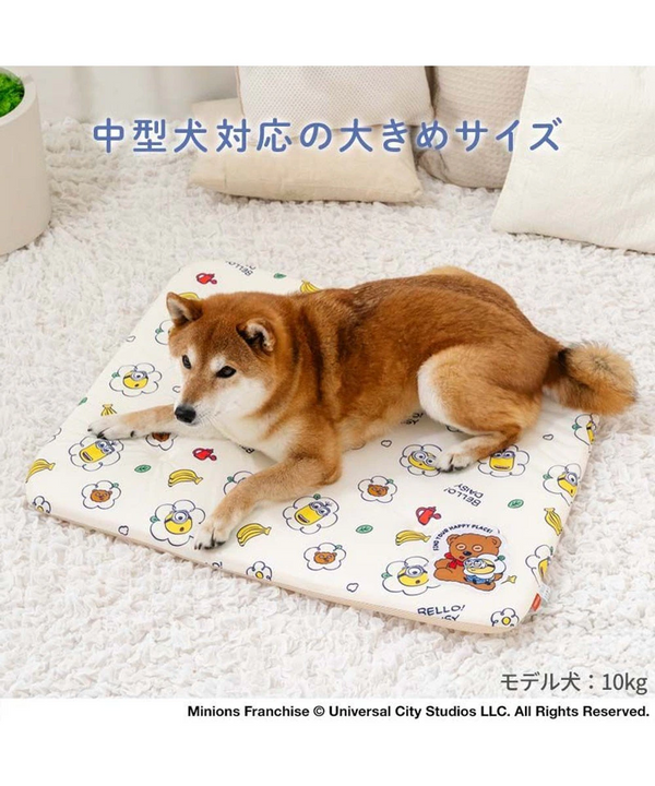 [PRE ORDER] Minions Mochitto Cool Mat
