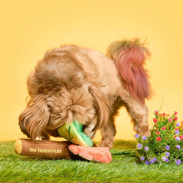 Branch Manager’s Branch Nosework Toy