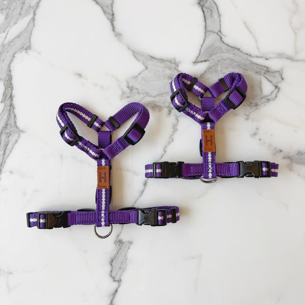 Florence Harness