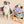 Fish Express Nosework Toy