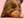 Bone Appétit Nosework Toy
