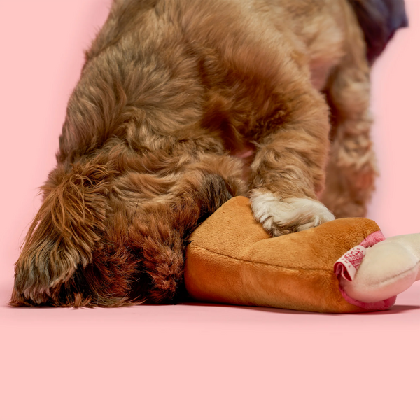 Bone Appétit Nosework Toy