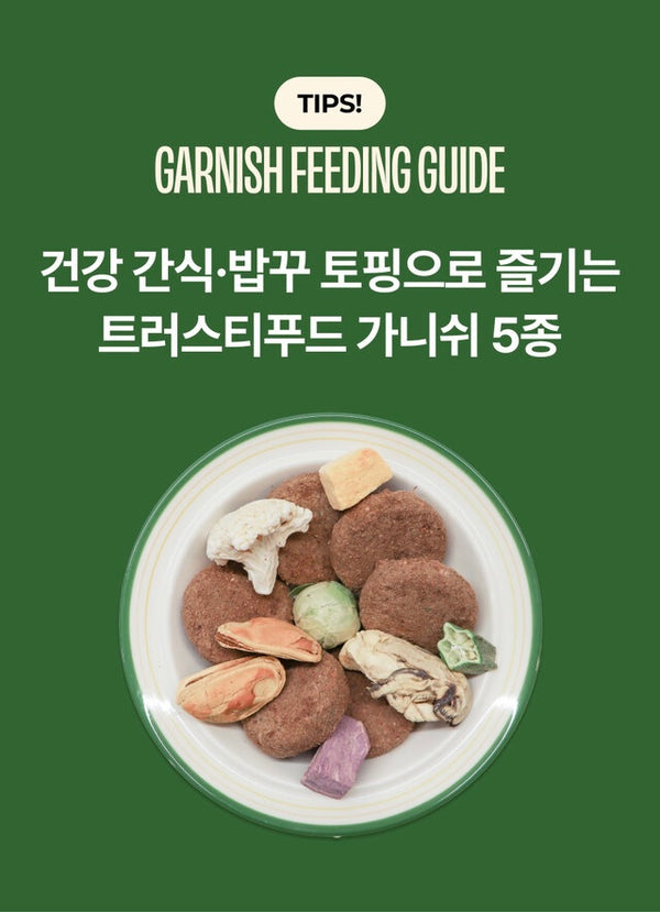 Freeze Dried Oyster