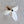 Swift Swallow Spinning Cat Teaser Wand Refill Toy