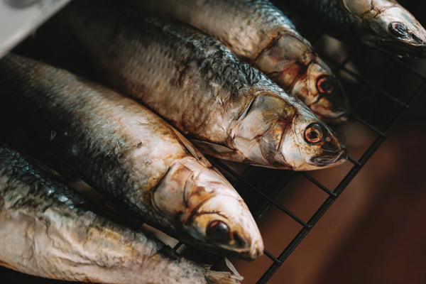 Dehydrated Whole Sardines (Wild Caught)