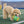 Peanuts Grip Rugby Ball Toy
