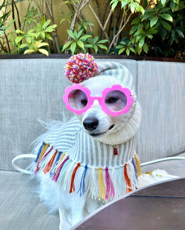 Rainbow Alpaca Dog Hat