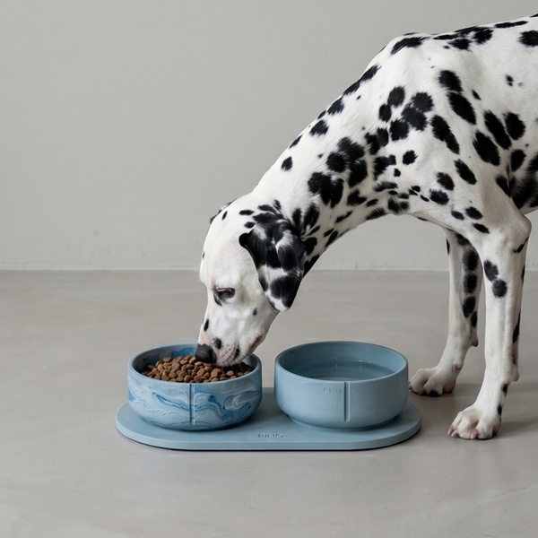 Classic Bowl Bluebird Marble (Large)