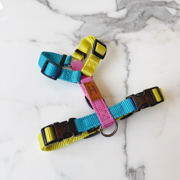 Unicorn Harness