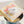 [PRE ORDER] Baking Day Nose Work Play Book