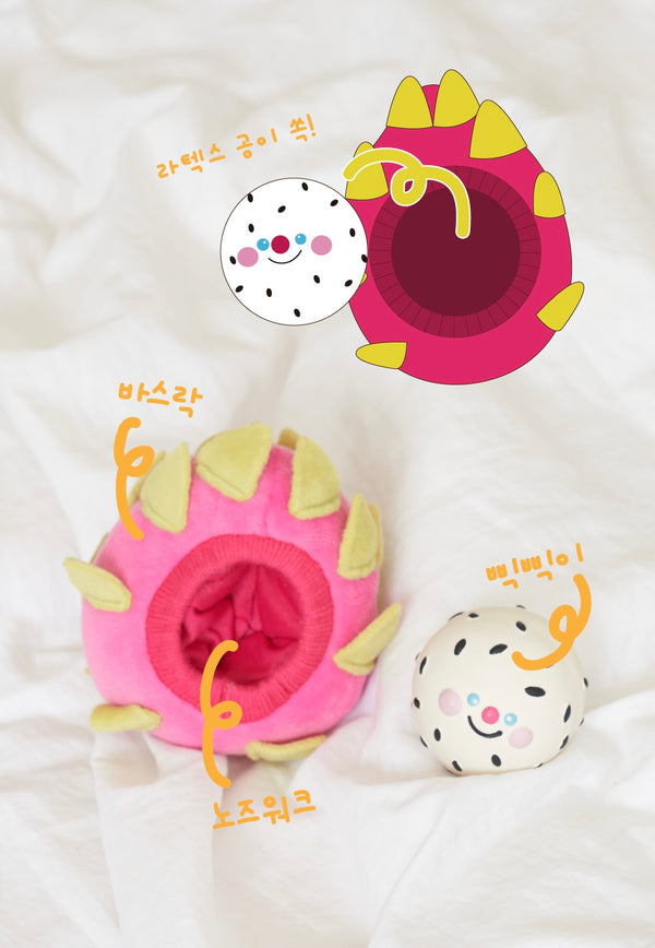 Dragon Fruit Toy