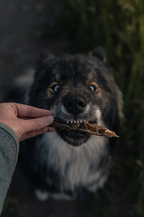 Lamb Green Tripe Sticks