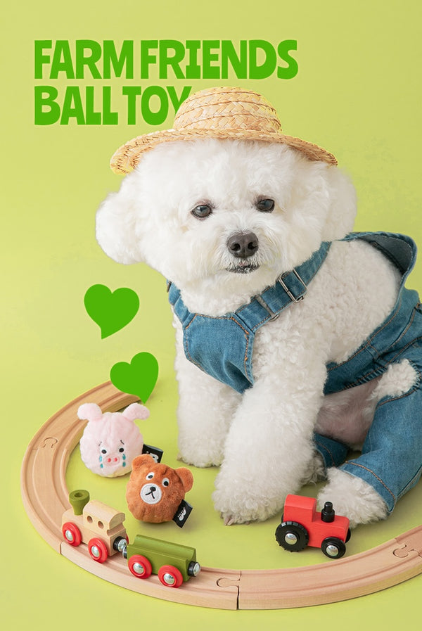 [PRE ORDER] Farm Friends Ball Toy