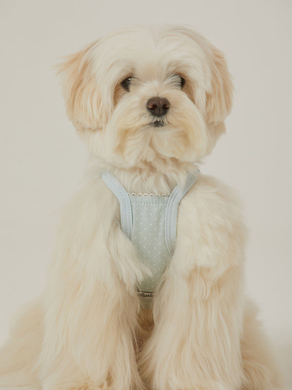 Roony Bear Top (Mint Milk)