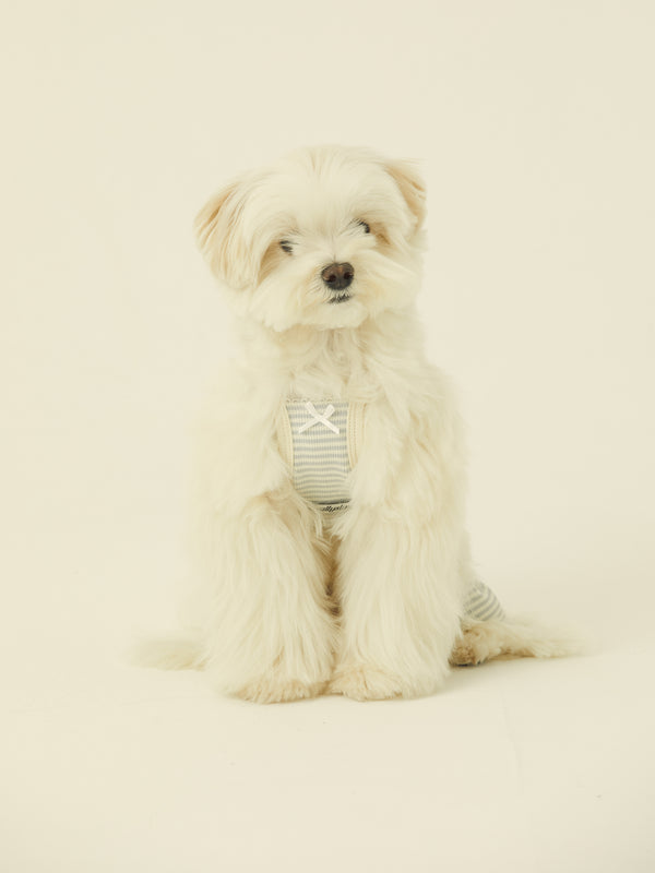 Bunny Onesie (Baby Blue Stripe)