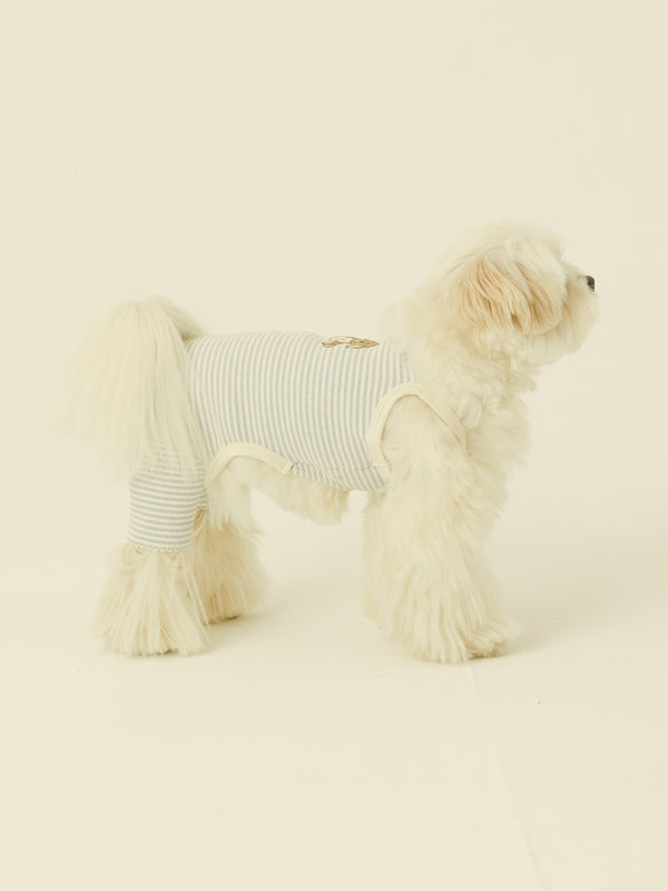 Bunny Onesie (Baby Blue Stripe)