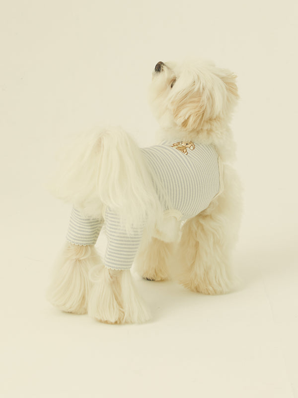 Bunny Onesie (Baby Blue Stripe)