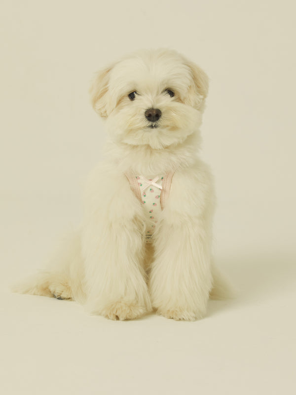 Bunny Top (Strawberry)