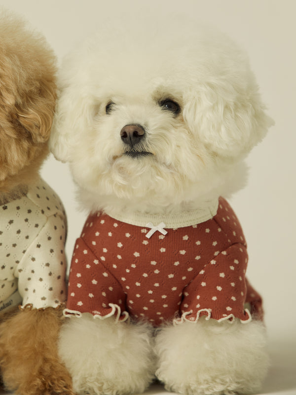 Vintage Bear Onesie (Moody Wine)