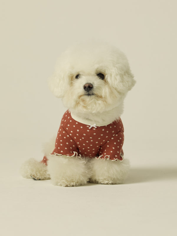 Vintage Bear Onesie (Moody Wine)