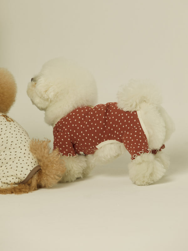 Vintage Bear Onesie (Moody Wine)