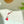 Coco Bird Cat Teaser Refill Toy