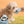 Poki-Pocket Nosework Toy