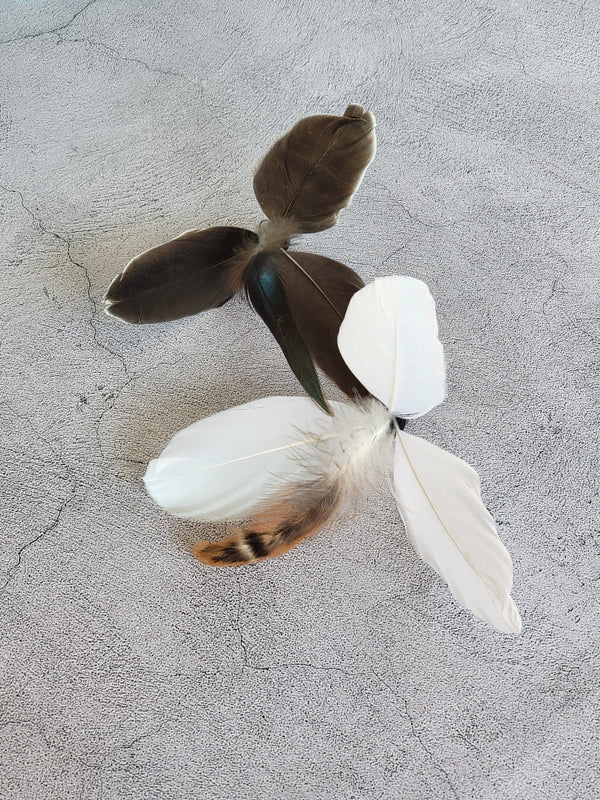 Swift Swallow Spinning Cat Teaser Wand Refill Toy