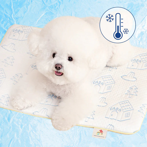 All Day Cooling Mat + Pillow Set
