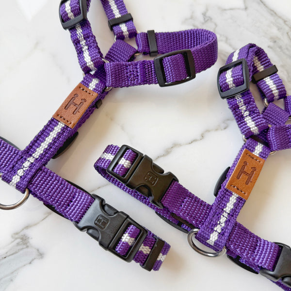 Florence Harness