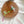 Mini Green Crinkle Beetle Cat Teaser Refill Toy