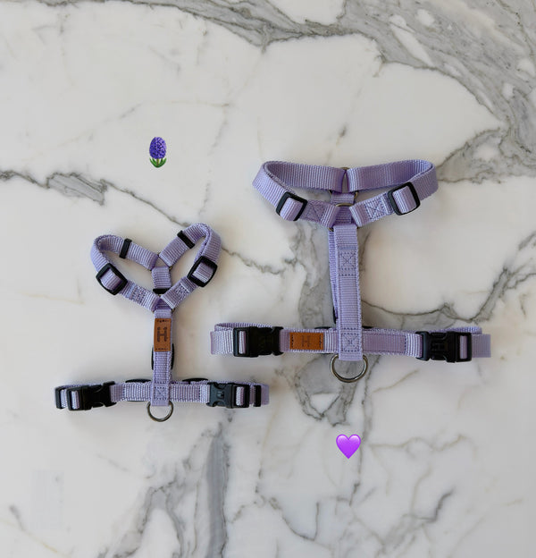 Lavender Harness