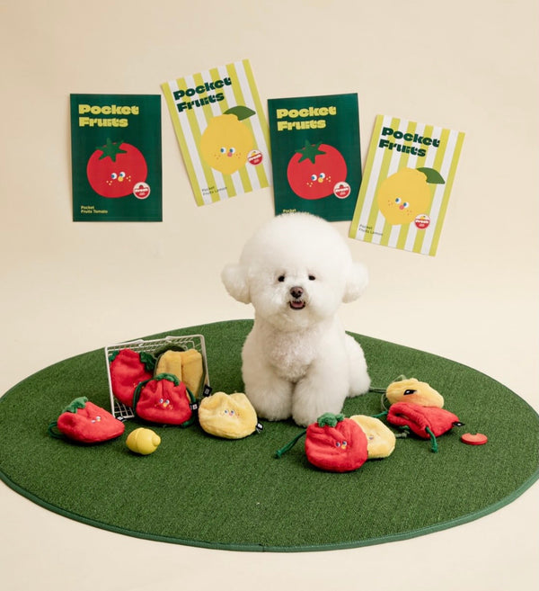 Pocket Fruits Nosework Toy