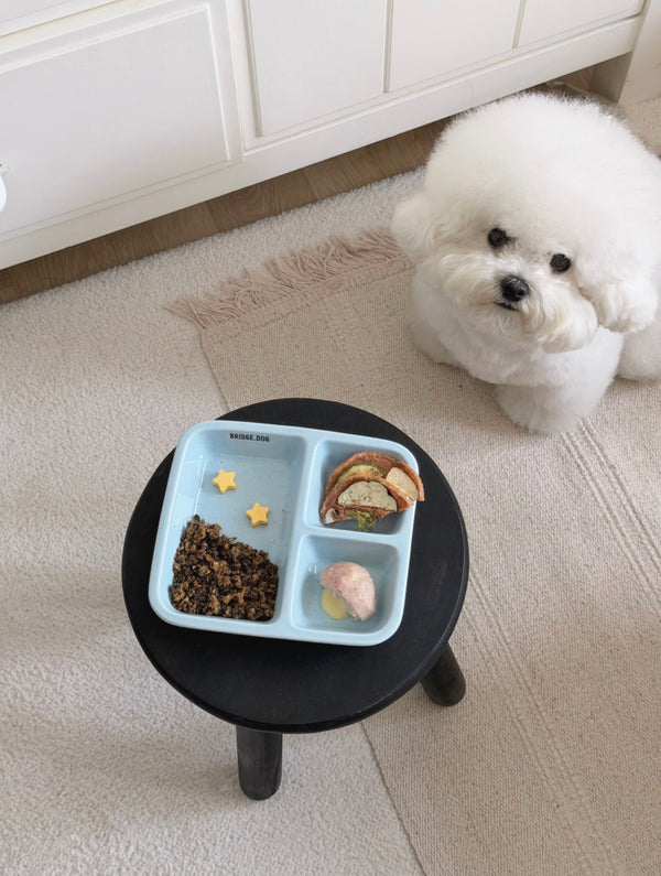 [PRE ORDER] FOOD PLATE - BLUE
