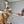 [PRE ORDER] Squirrel Rod