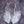 Angel Wing Feather Cat Teaser Wand Refill Toy
