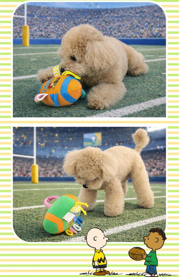 Peanuts Grip Rugby Ball Toy