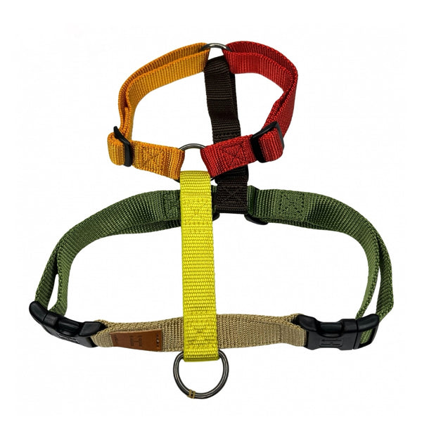 [PRE ORDER] Limited Harness H - Season