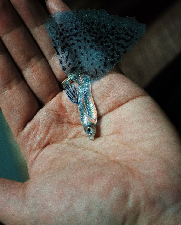 Blue Grass Guppy Cat Teaser Refill Toy