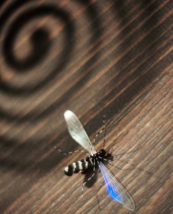 Tiger Mosquitto Cat Teaser Refill Toy