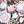 Flower Plate 14cm - Shell Pink