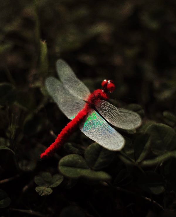 Red Dragonfly Cat Teaser Refill Toy