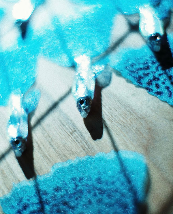 Blue Grass Guppy Cat Teaser Refill Toy