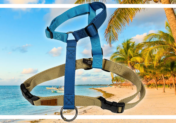 [PRE ORDER] Harness H - Caribbean Bay