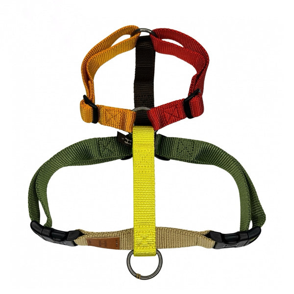 [PRE ORDER] Limited Harness H - Season