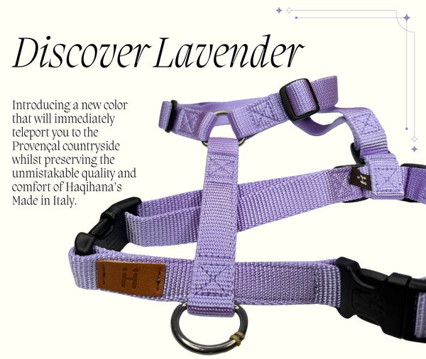 [PRE ORDER] Lavender Harness