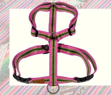 [PRE ORDER] Limited Harness H - Chinchero